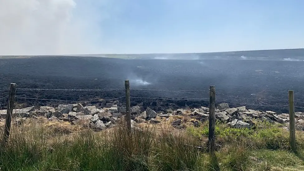 LRFS Blackened section of the moor