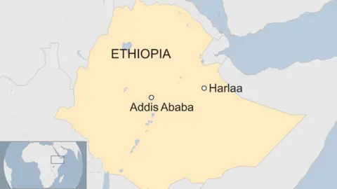 Archaeologists in Ethiopia uncover ancient city in Harlaa