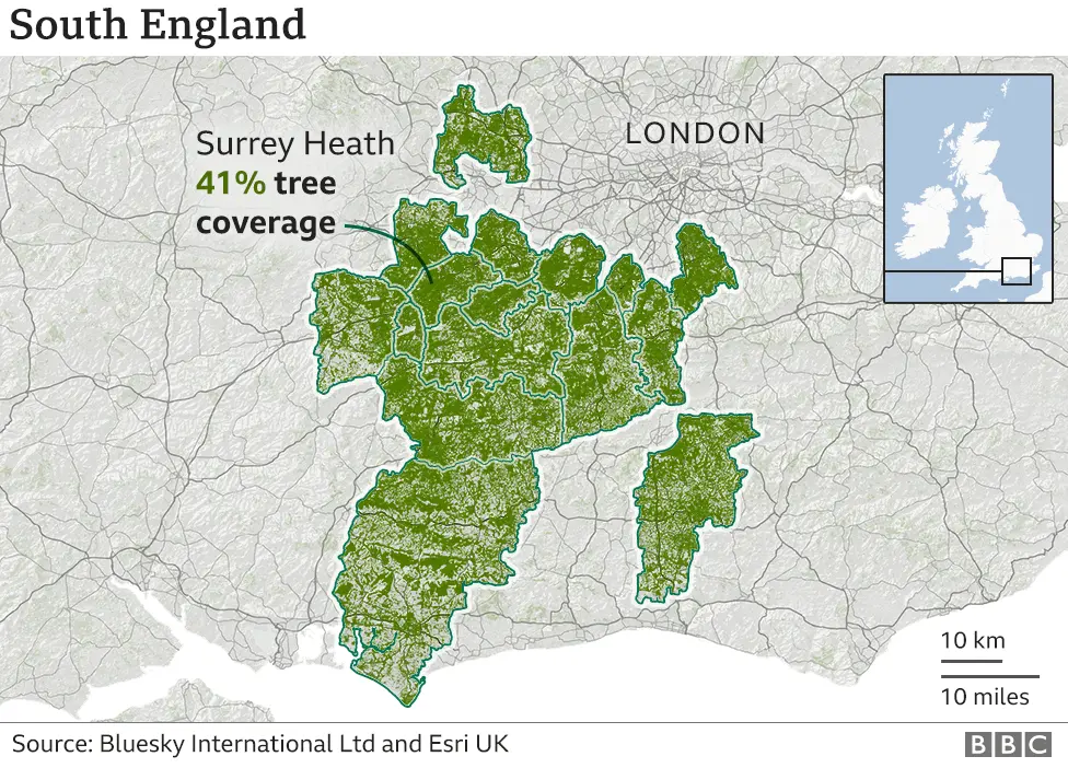 EPA A graphic showing tree cover in the south of England. The highest place is Surrey Heath. Many of the other places in the top 20 surround this area.