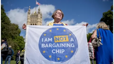 AFP Anti-Brexit demonstrator outside Parliament