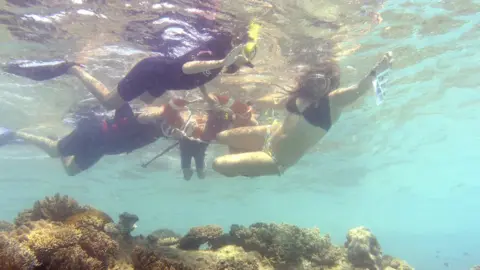 Tourists snorkelling on the Great Barrier Reef in 2014