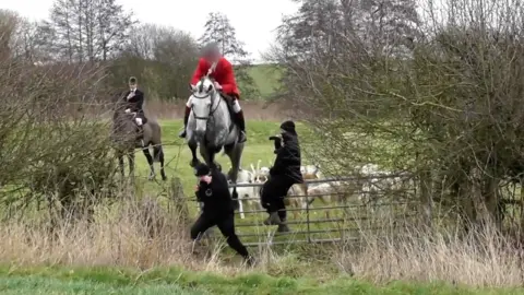 Hertfordshire Hunt Saboteurs Saboteur hit by horse