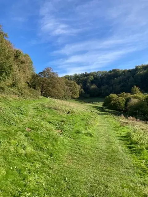 Susan Fenton Heavens in Stroud
