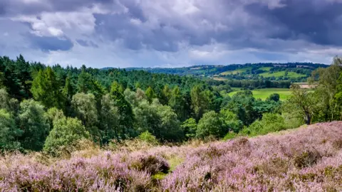 Getty Images Kinver Edge