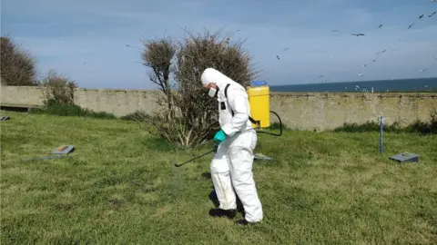 Ibrahim Alfarwi Disinfecting one of the nesting areas