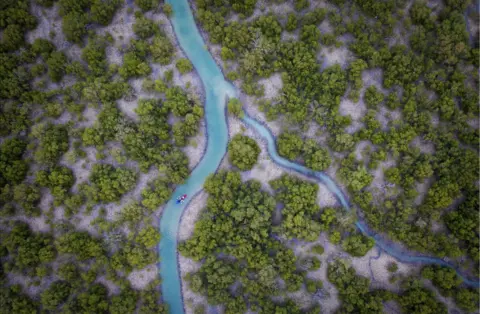 Hooreya Al Muflahi An aerial view of mangrove trees and a river in UAE