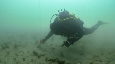 Ocean Conservation Trust Scuba diver planting seagrass seeds