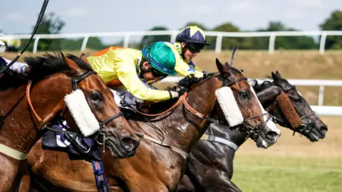 Getty Images Chepstow Racecourse horses