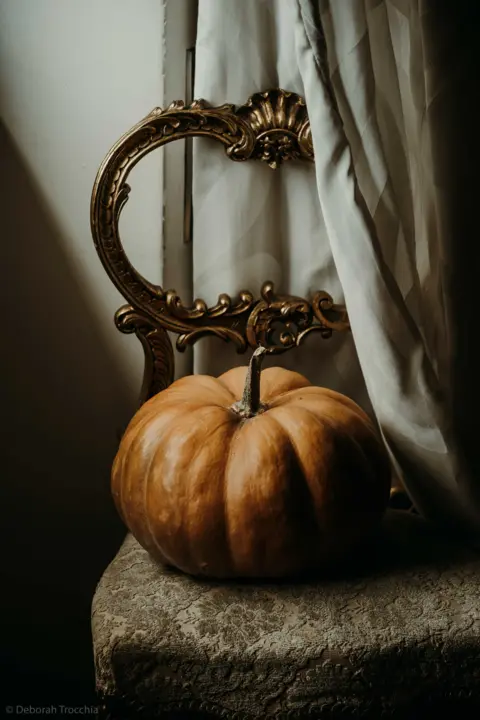 Deborah Trocchia Pumpkin