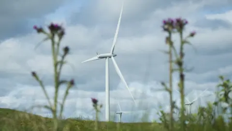 PA Media Wind turbines