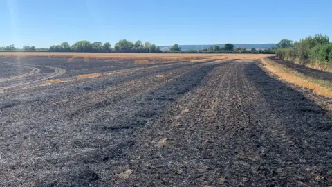 Gloucestershire Fire and Rescue Service Burnt crops