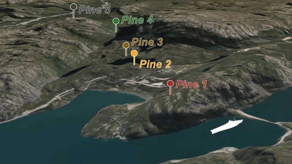 Claudia Hartl Tree samples