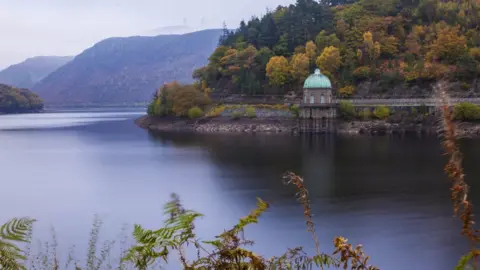 John Bendle Reservoir in Elan Valley, by John Bendle