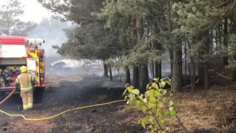 DWFireRescue heath fire