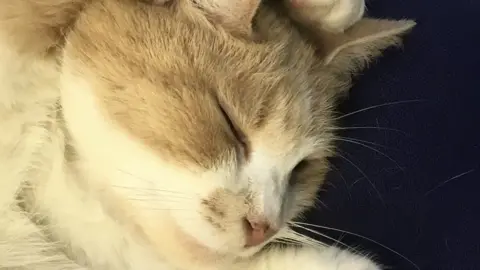 Lesley Harper Wilbur