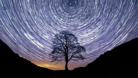 Kris Hodgetts Sycamore Gap