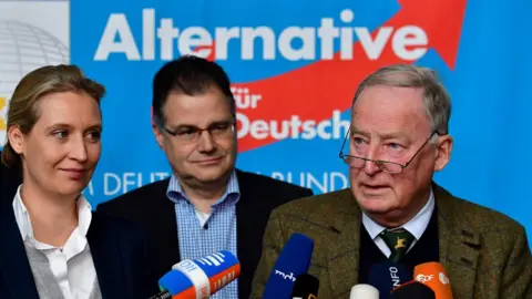 AFP AfD co-leaders Alexander Gauland (L) and Alice Weidel, 20 Nov 17