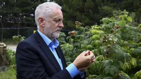 GEOFF CADDICK Jeremy Corbyn picking fruit