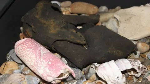 Glen Pearce/National Trust An adult shoe from the 19th century