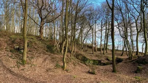 Dacre, Son and Hartley East Wood