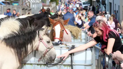 Pacemaker Woman petting horses