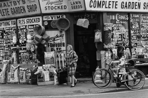 Luis Bustamante Hull