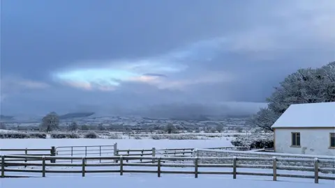 Lauren Nicholl Eglinton snow