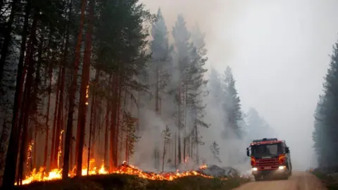 Getty Images Wildfires have blazed across Sweden this summer, with hot weather and persistent drought cited as the main causes