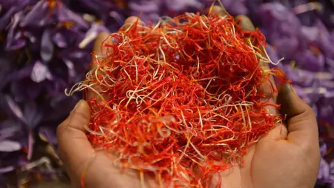 Getty Images Kashmiri saffron