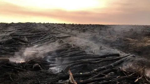 Kara Simpson/Thurso Fire Station Wildfire