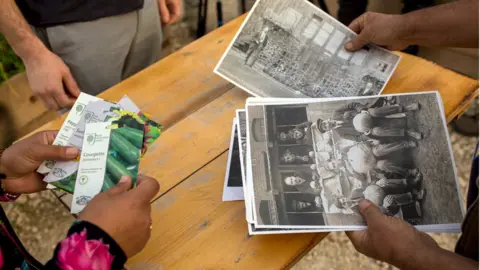 Dirk-Jan Visser Seeds