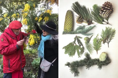 Roger Phillips Roger Phillips and Nicky Foy