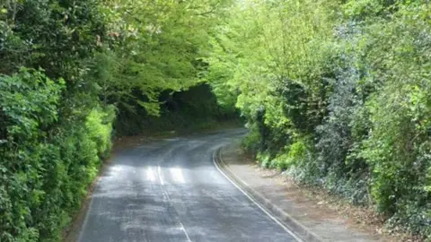 Google A google maps image of Wateringbury Road.