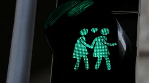 Reuters A same-sex themed traffic light in Vienna, Austria