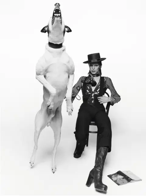 Terry O'Neill / Iconic Images David Bowie pictured for his 1974 album Diamond Dogs
