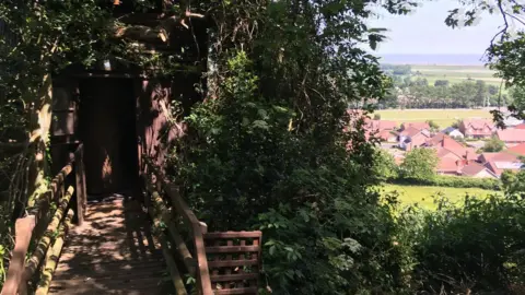 Daniel Mumby Treehouse