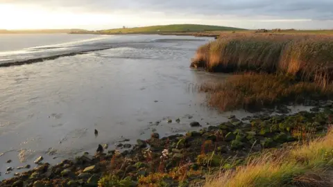 Marathon/Purfleet Purfleet