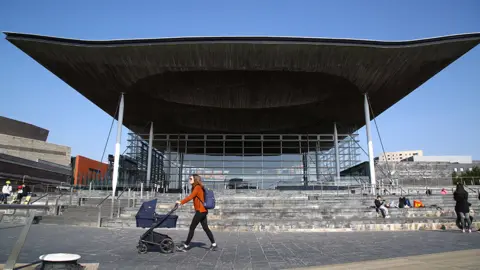 GEOFF CADDICK Senedd building