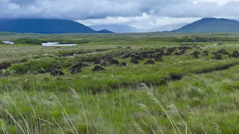 Getty Images Peat bog, Ireland