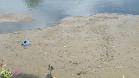 Cleethorpes Wildlife Rescue Cleethorpes Wildlife Rescue has responded to 15 reports of stricken birds at the boating lake