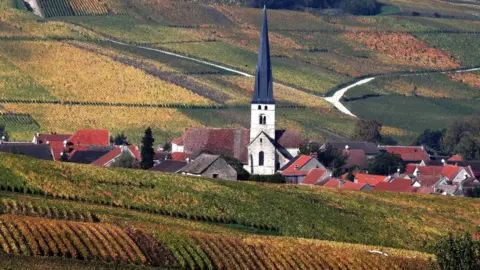 Getty Images Champagne vineyards are pictured on October 25, 2019