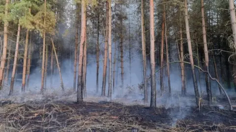 Norfolk Fire and Rescue Service A woodland fire