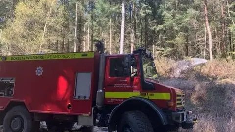 DWFRS Puddletown Forest fire