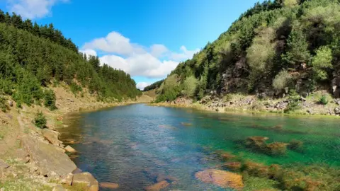 Richard Eley Former Tirpentwys opencast coal site