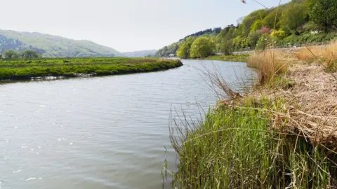 Getty Images The River Dwyryd with hills and trees either side