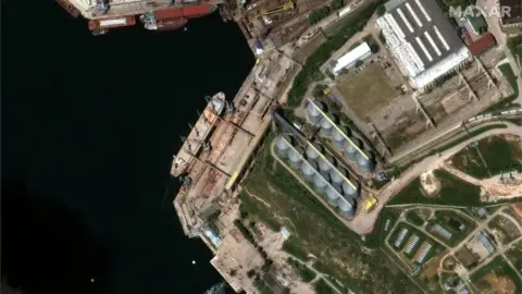 Satellite image ©2022 Maxar Technologies A satellite image shows a bulk carrier ship loading grain at the port of Sevastopol