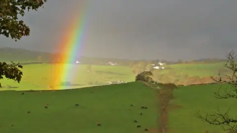 Mike Parker Mike has lived in Wales for the past 20 years and has attempted to reclaim the queerness of the countryside