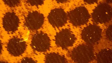 Orb Media Filtration of larger particles