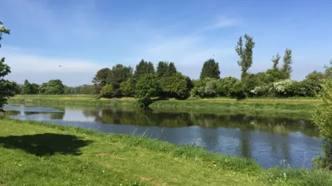 BBC View from Kingholm Pavilion