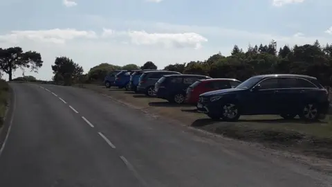 Forestry England Cars parked on verges in the New Forest